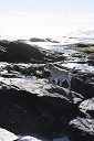 nk2012-12-28_5150