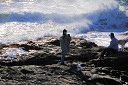 nk2012-12-28_5164