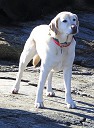 nk2012-12-28_5191