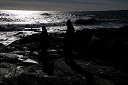 nk2012-12-28_5195