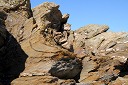 nk2012-12-28_5197
