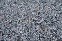 nk2012-12-28_5223