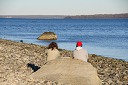 nk2012-12-28_5225