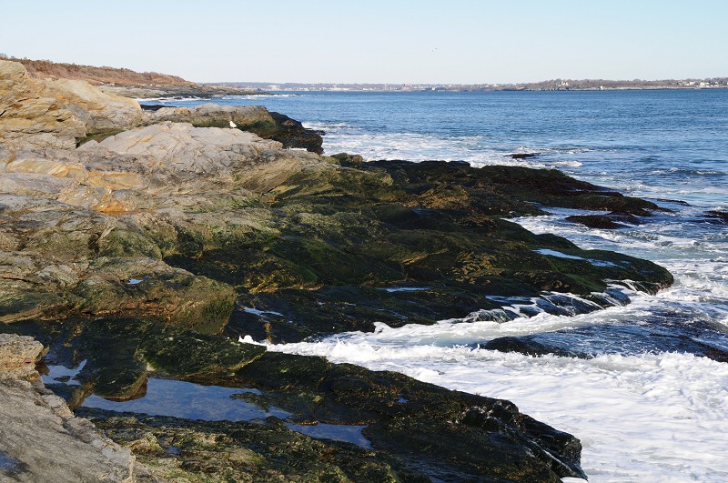nk2012-12-28_5188.jpg