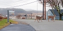 NK2014-12-17_10735.jpg