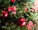NK2014-12-19_10742.jpg