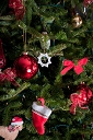 NK2014-12-19_10745.jpg