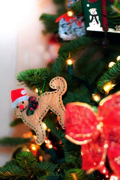 nk2014-12-19_10754.jpg