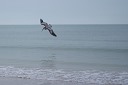 NK2014-03-20_8146-6.jpg