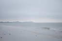 NK2014-03-20_8148-7.jpg