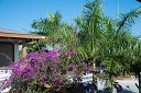 NK2014-03-20_8152-9.jpg