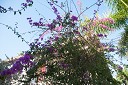 NK2014-03-20_8162-16.jpg