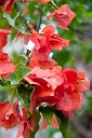 NK2014-03-25_8273-56.jpg