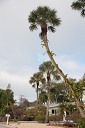 NK2014-03-25_8282-61.jpg