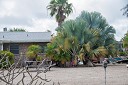NK2014-03-25_8288-63.jpg