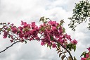 NK2014-03-25_8297-66.jpg