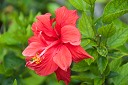 NK2014-03-25_8308-68.jpg