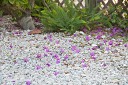 NK2014-03-25_8310-69.jpg