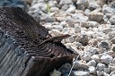 NK2014-03-25_8328-72.jpg