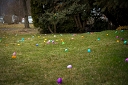 NK2015-04-03_10912.jpg