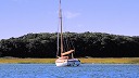 nk2010-09-05_270