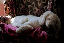 nk2010-09-05_353