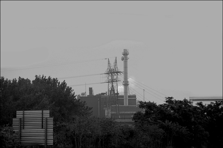 nk2006.08.28_78.jpg