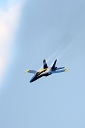 NK2015-05-30_11201.jpg