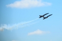 NK2015-05-30_11232.jpg