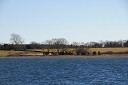 nk2012-12-28_5138