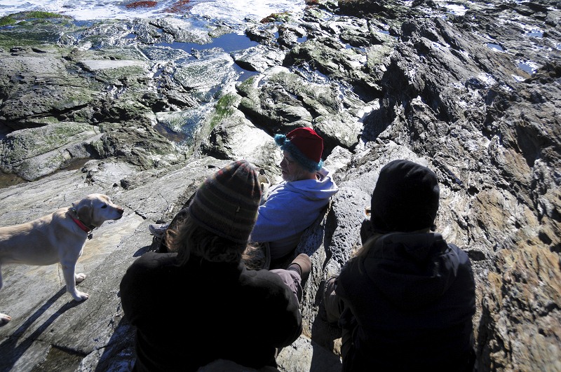 nk2012-12-28_5168.jpg