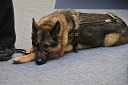 nk2012-10-17_4352.jpg