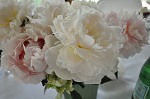 nk2012-05-26_3765