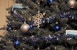 nk2012-12-24_5008