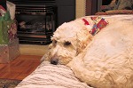 nk2012-12-24_5010