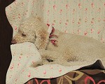 nk2012-12-24_5014