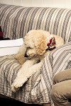 nk2012-12-24_5028