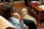 nk2012-12-24_5029