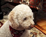nk2012-12-24_5036