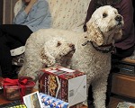nk2012-12-24_5038