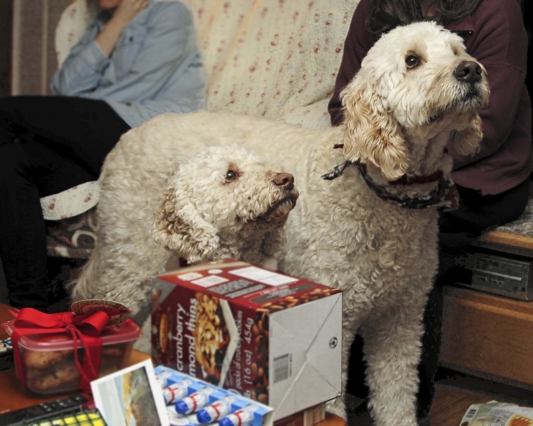nk2012-12-24_5038.jpg