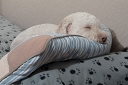 NK2014-05-29_9138-4.jpg