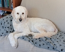 NK2014-05-29_9142-5.jpg
