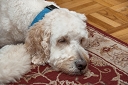 NK2014-05-29_9163-13.jpg