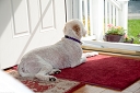 NK2014-05-29_9176-16.jpg