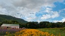 NK2014-08-28_10682-1.jpg