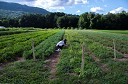 NK2014-08-28_10690.jpg