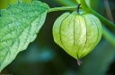 NK2014-08-28_10695.jpg