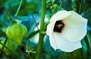 NK2014-08-28_10696.jpg