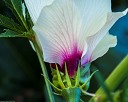 NK2014-08-28_10697.jpg